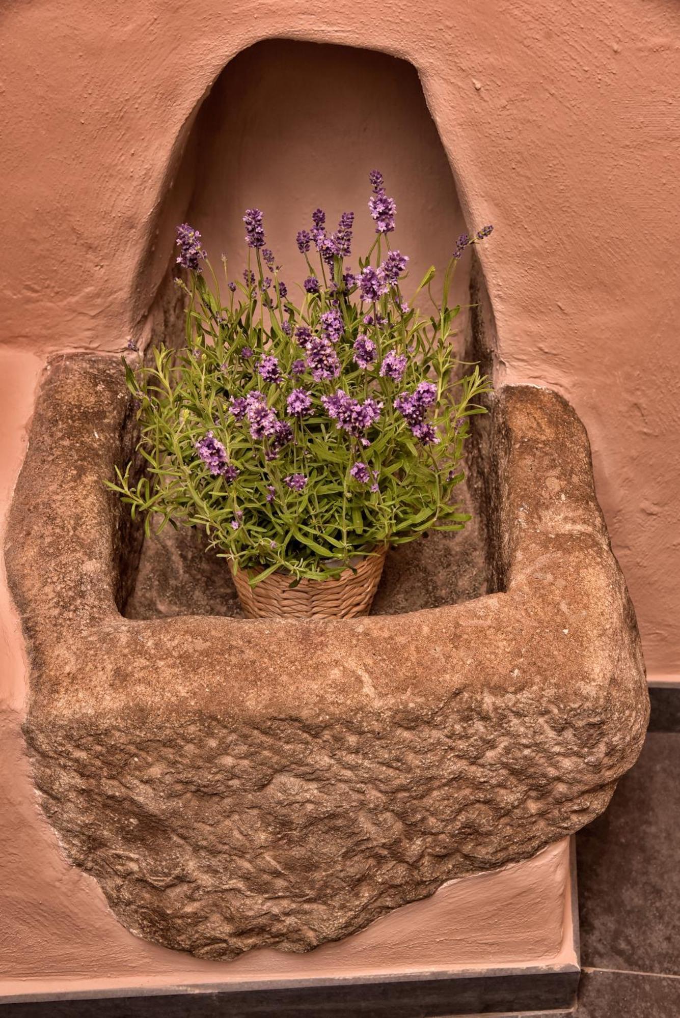 Casa Vacanze Tra I Monti E San Martino Biassa 外观 照片